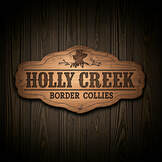 Holly Creek Border Collies